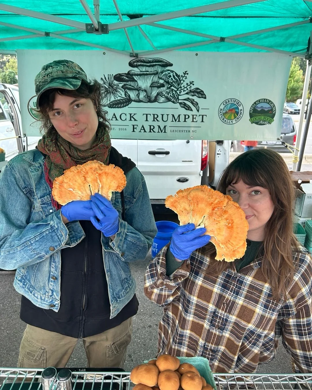 Jay found some lovely Chicken-of-the-Woods and we'll have it @northashevilletailgatemarket this morning from 8-12!
 
#mushroomfarm #localfood #farmersmarket #chickenofthewoods