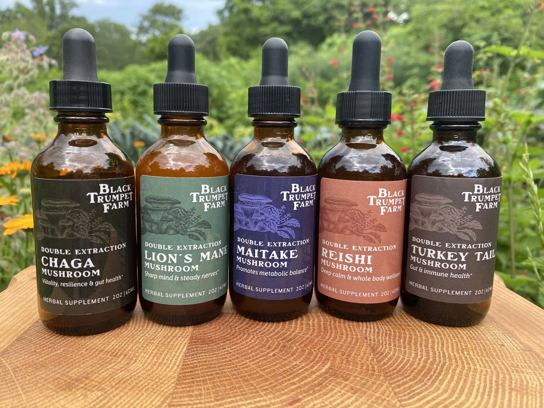 A row of five brown glass dropper bottles with labels of varying colors that identify each as a kind of mushroom tincture against a natural foliage background. (Copy) (Copy) (Copy) (Copy)