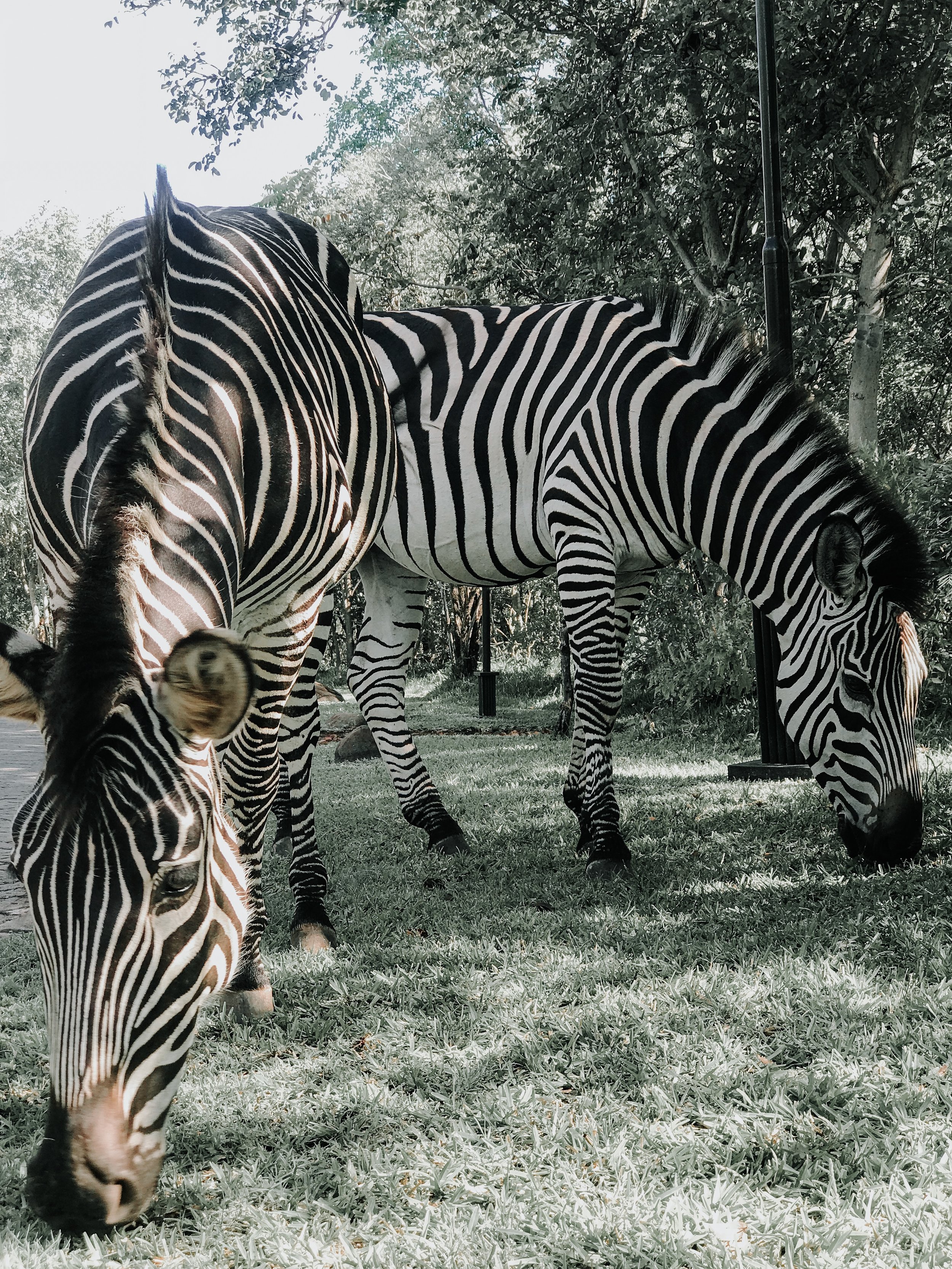 3 Days in Livingstone, Zambia