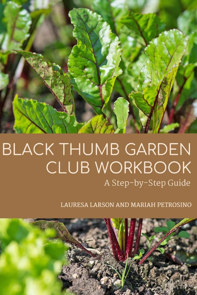 e-workbook - Edited.jpg