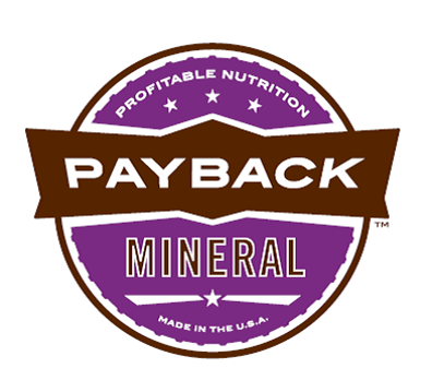 Payback Mineral Logo.png