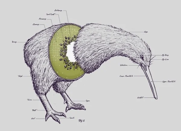 New Zealand’s tech scene is bigger than you think