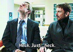 tumblr_n48qhzzNss1qgghb8o2_250.gif