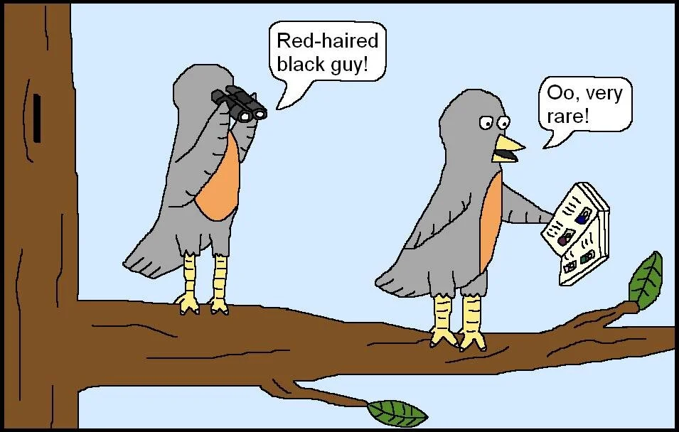 Bird Watching Cartoon.JPG