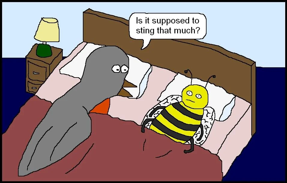 Birds and Bees Cartoon.JPG