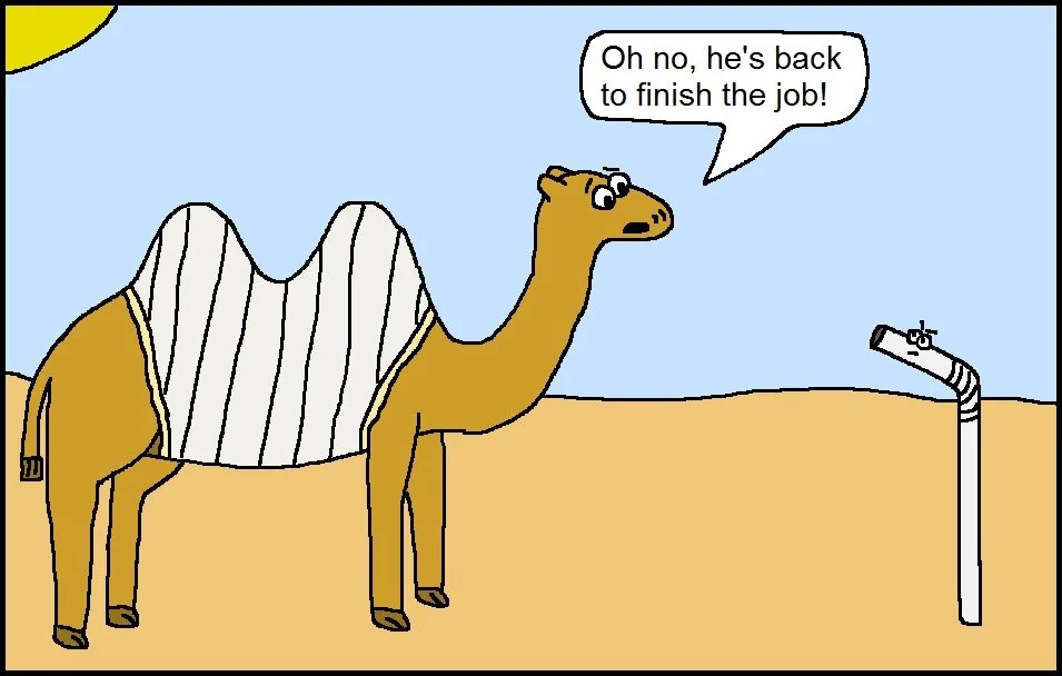 Camel's Back Cartoon.jpg