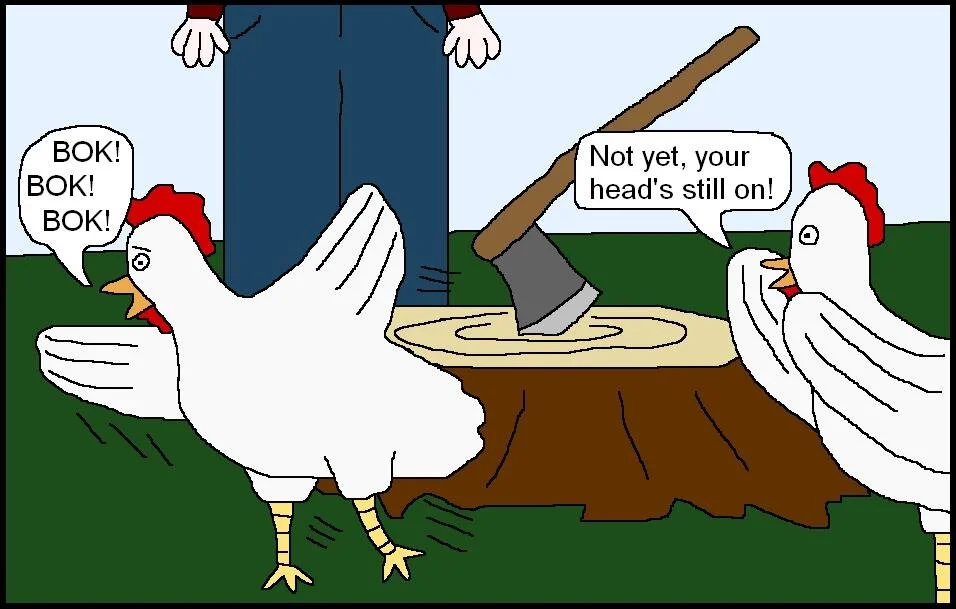 Chicken Cartoon.JPG