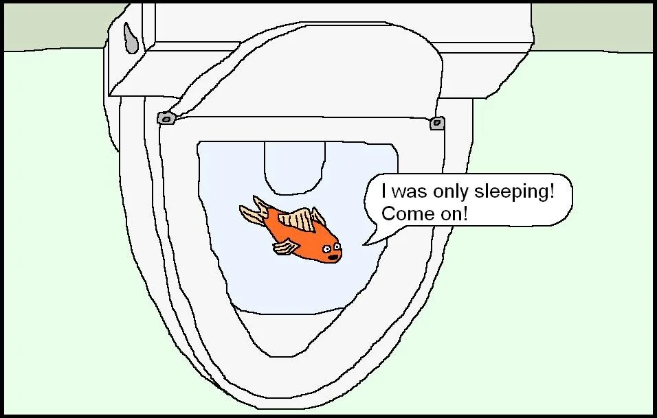 Goldfish Cartoon.JPG