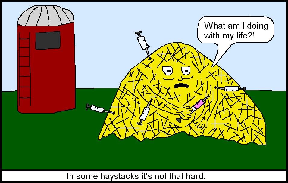 Haystack Cartoon.JPG