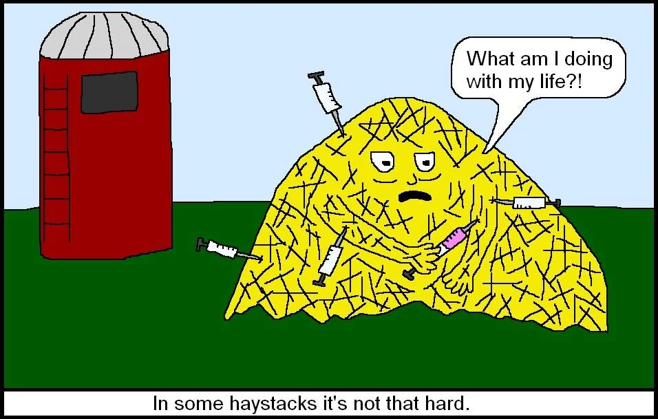 Haystack Cartoon.JPG