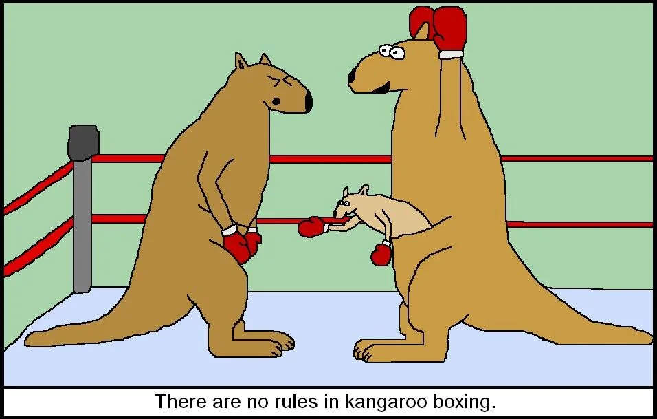 Kangaroo Cartoon.JPG