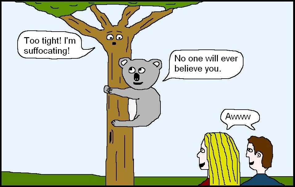Koala Cartoon.JPG