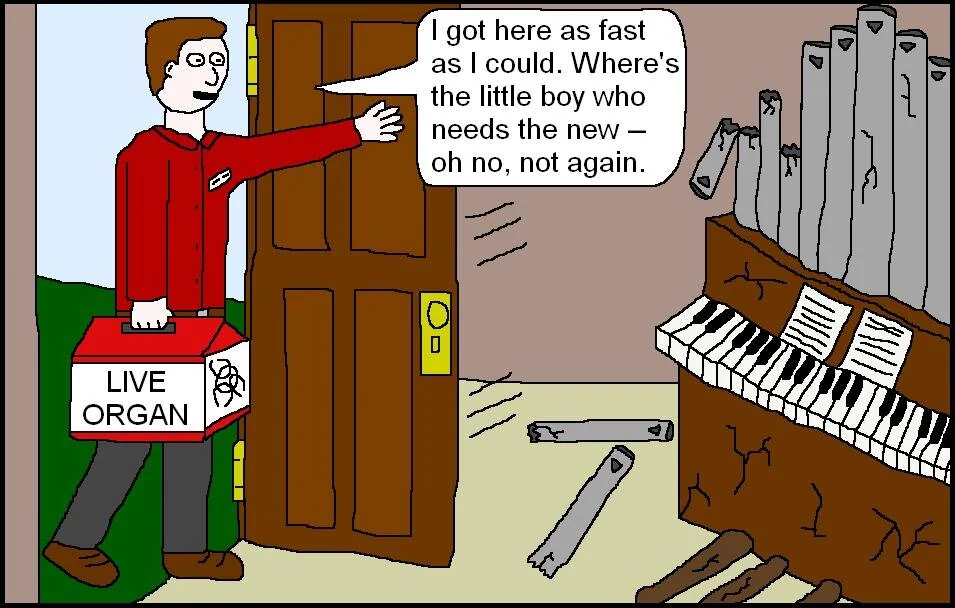 Organ Cartoon.JPG