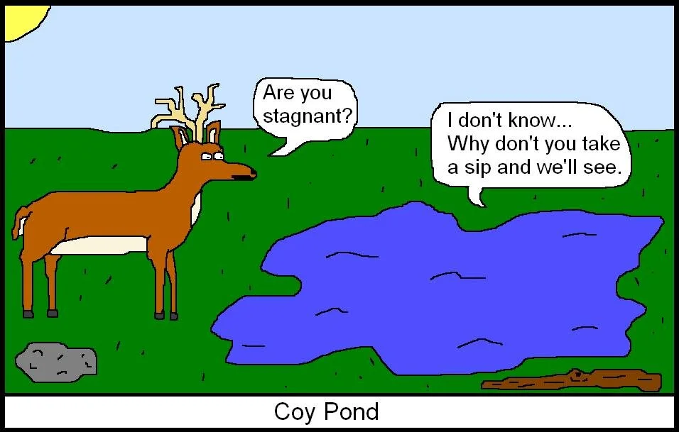 Pond Cartoon.JPG