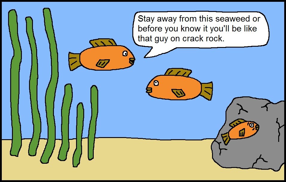 Seaweed Cartoon.jpg