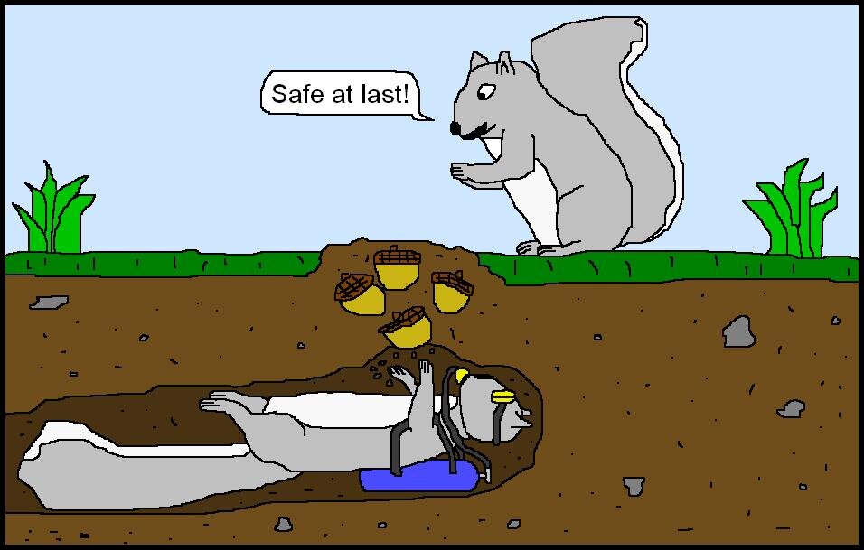 Squirrel Cartoon.JPG
