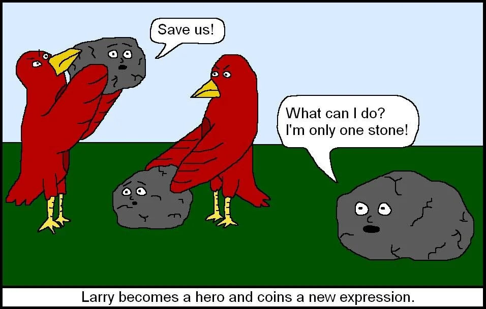 Two Birds Cartoon.JPG