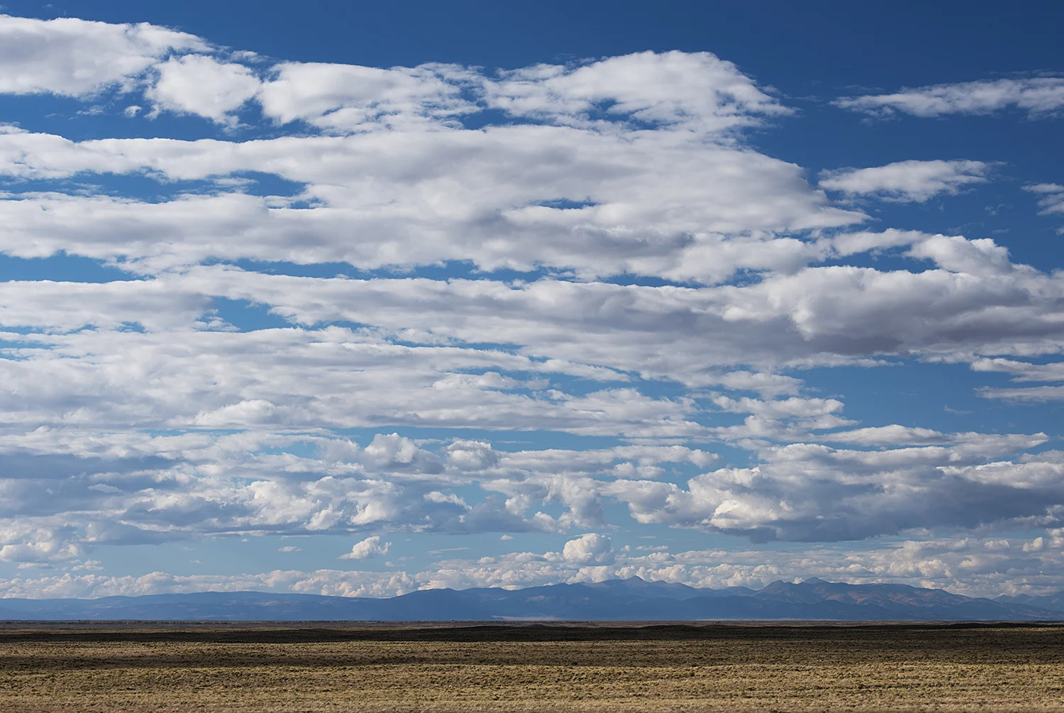 DSC_49322.jpg