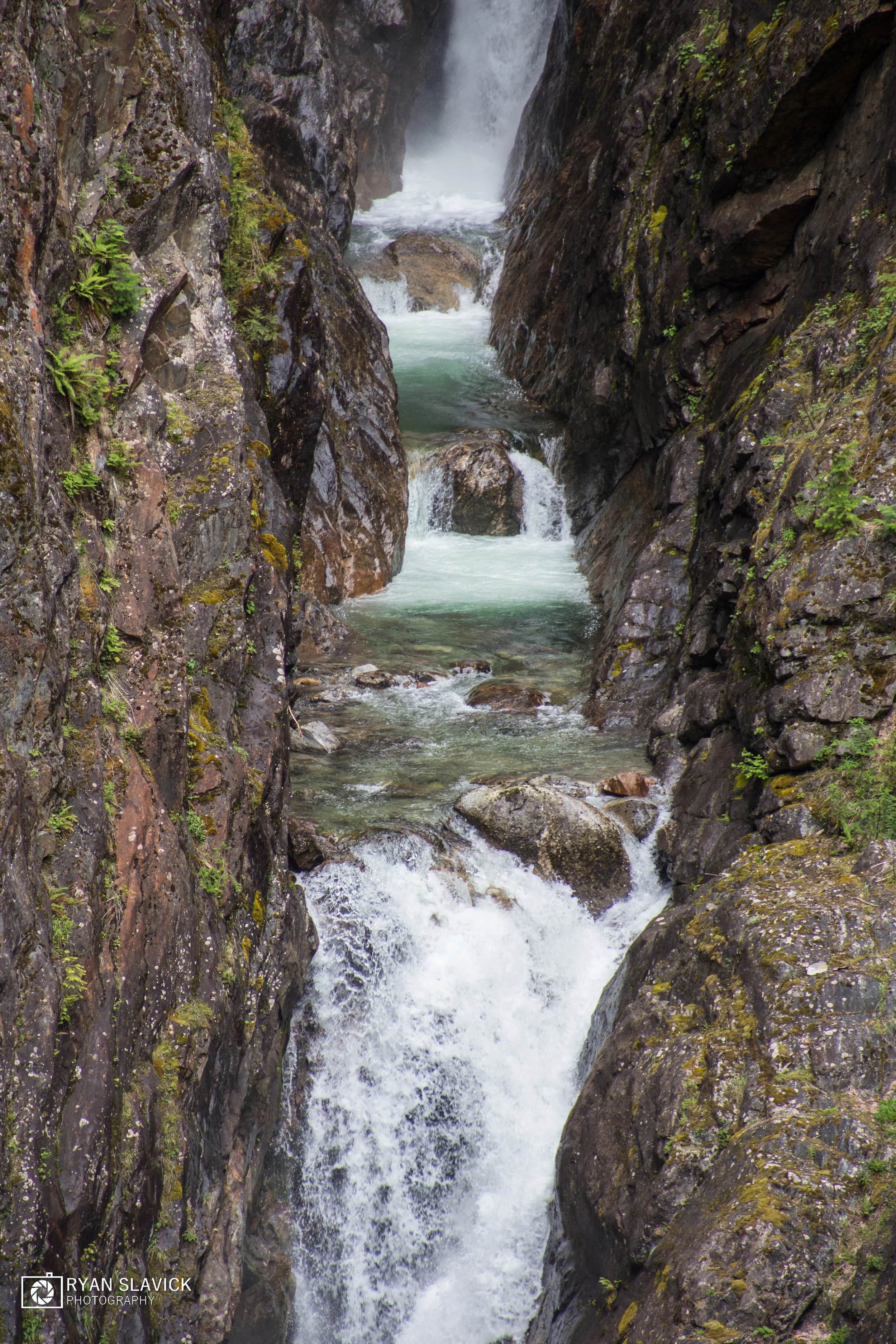 IMG_9783.jpg
