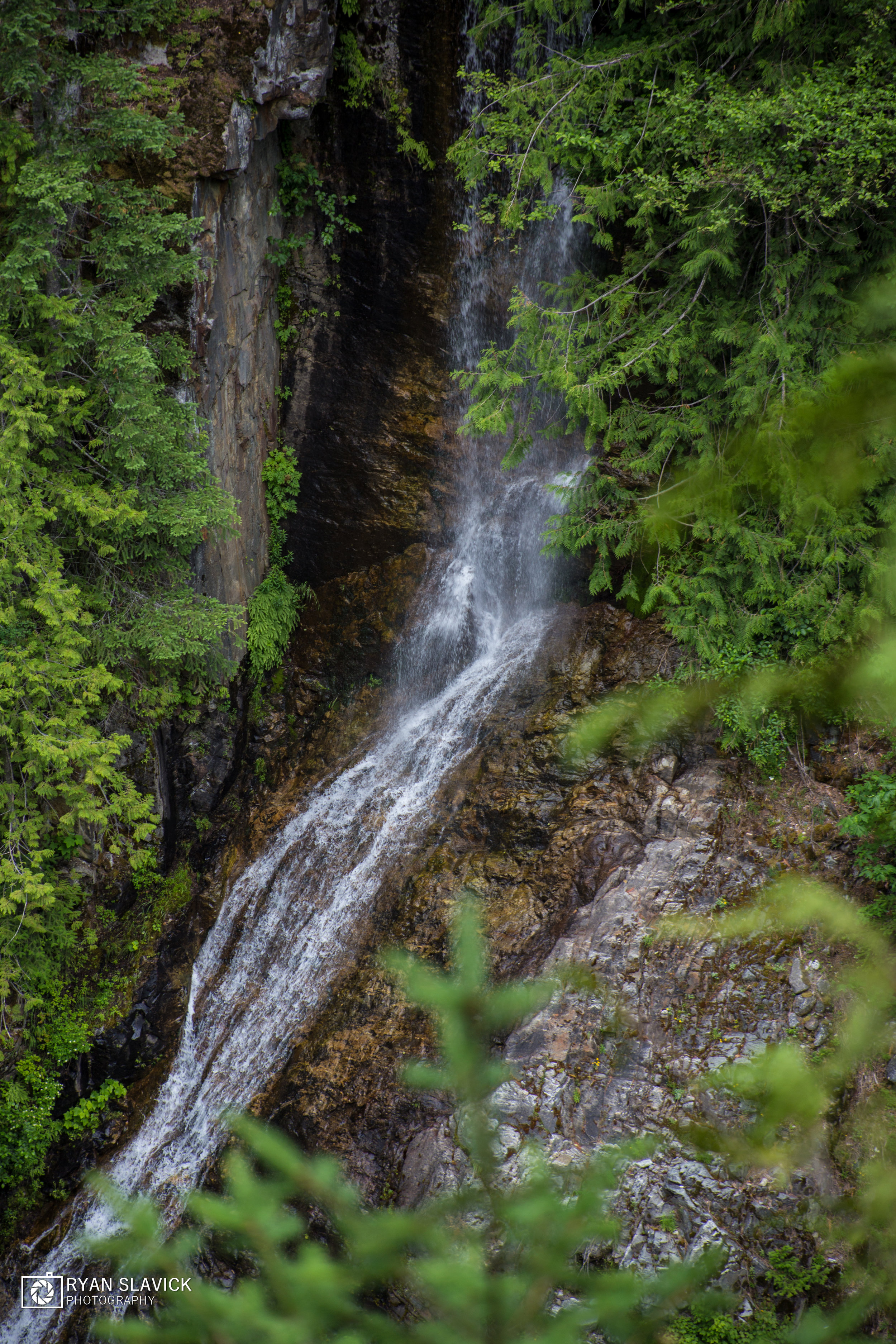 IMG_9794.jpg