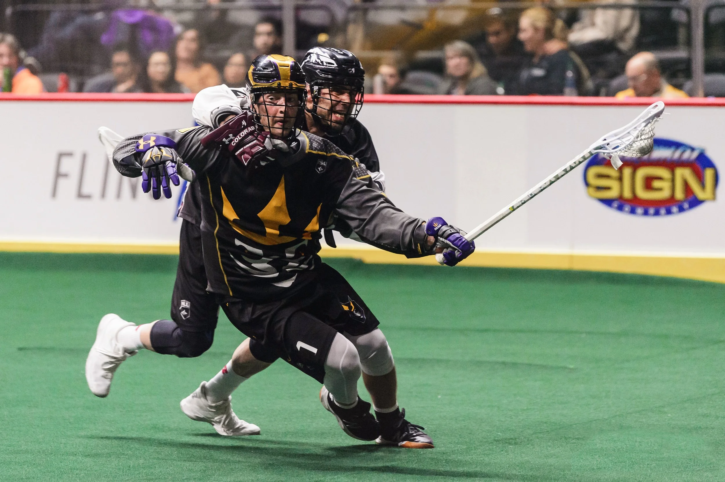 San Diego Seals New Port.jpg