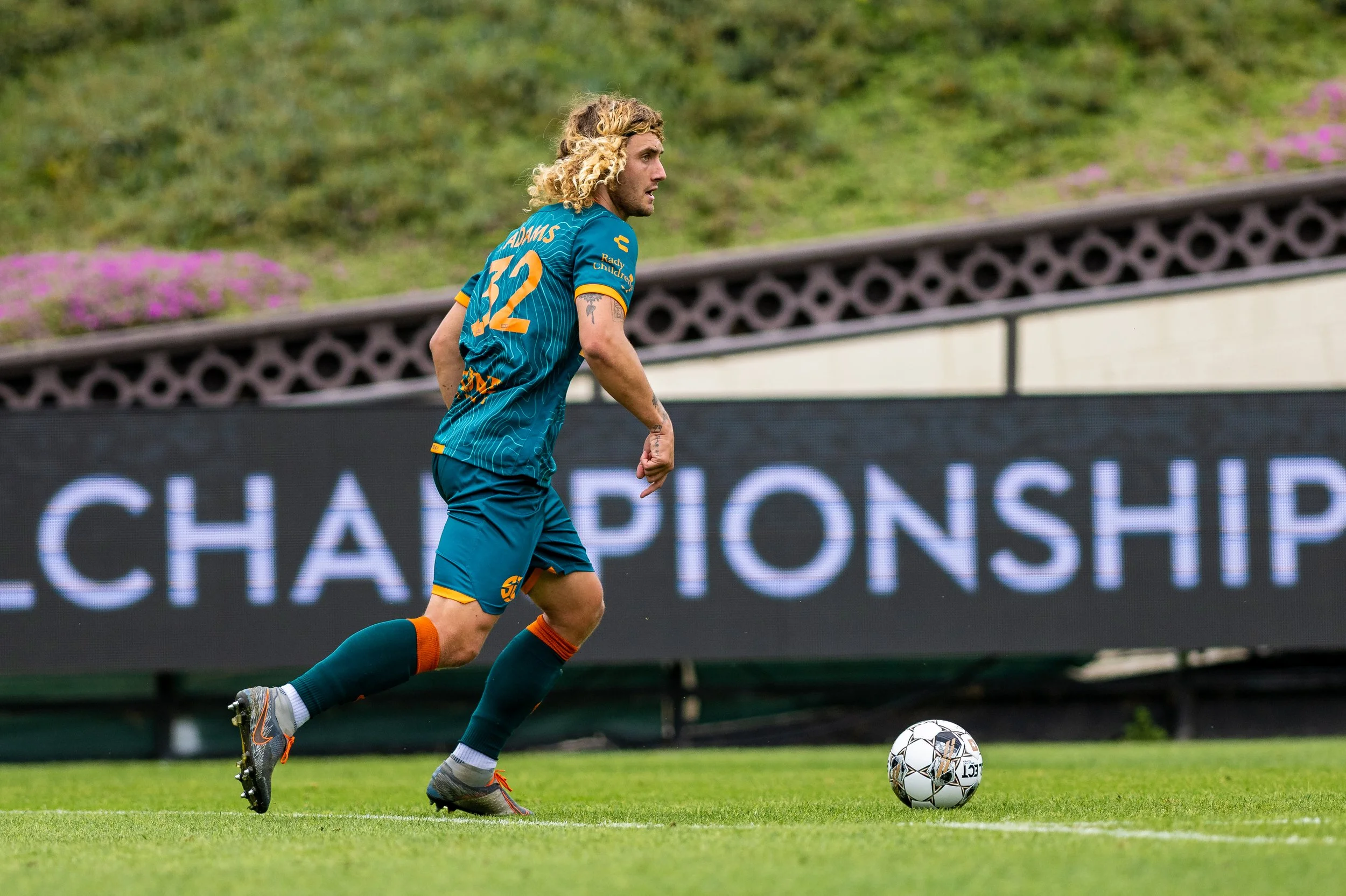 SD Loyal Portfolio-5.jpg