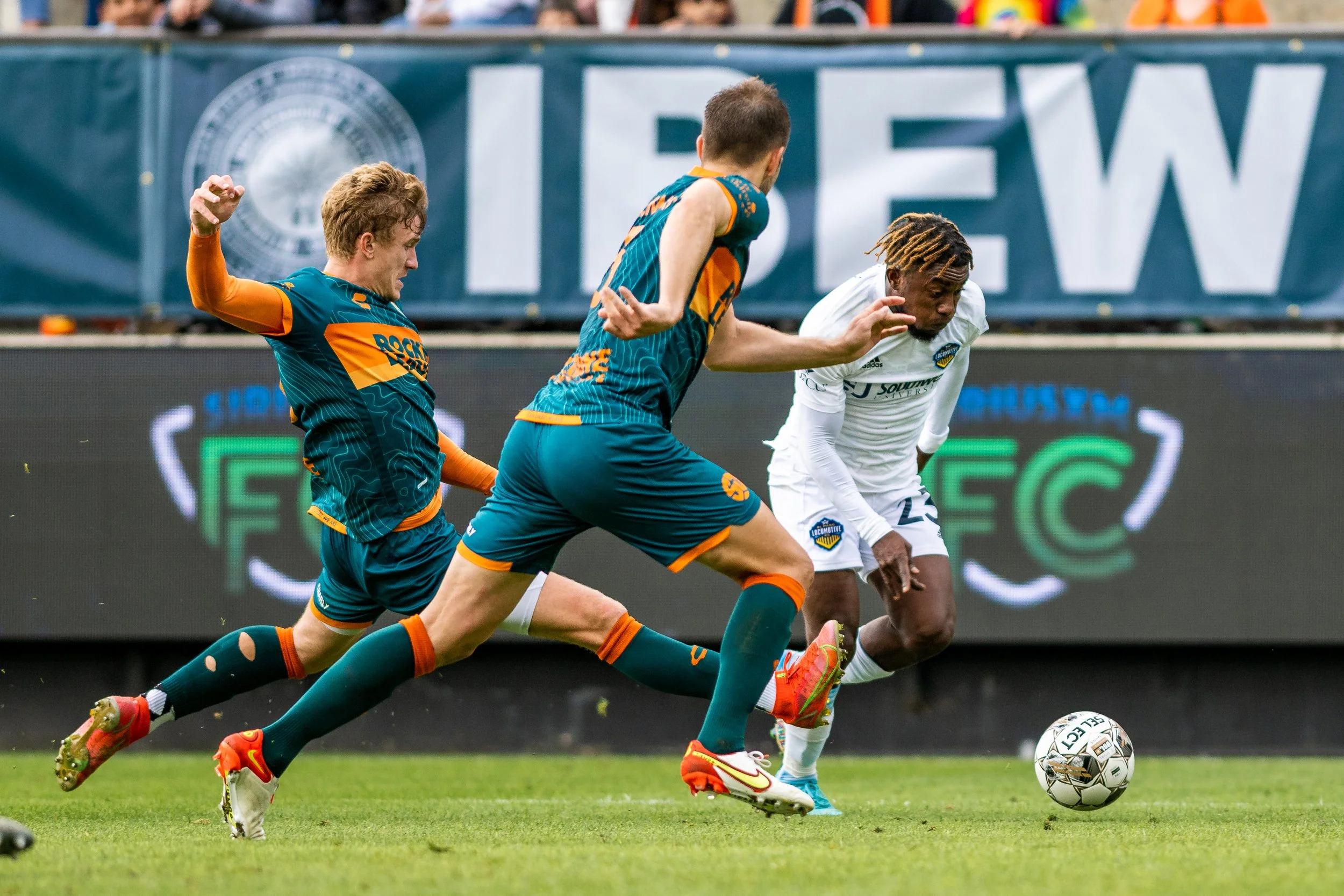 SD Loyal Portfolio-7.jpg