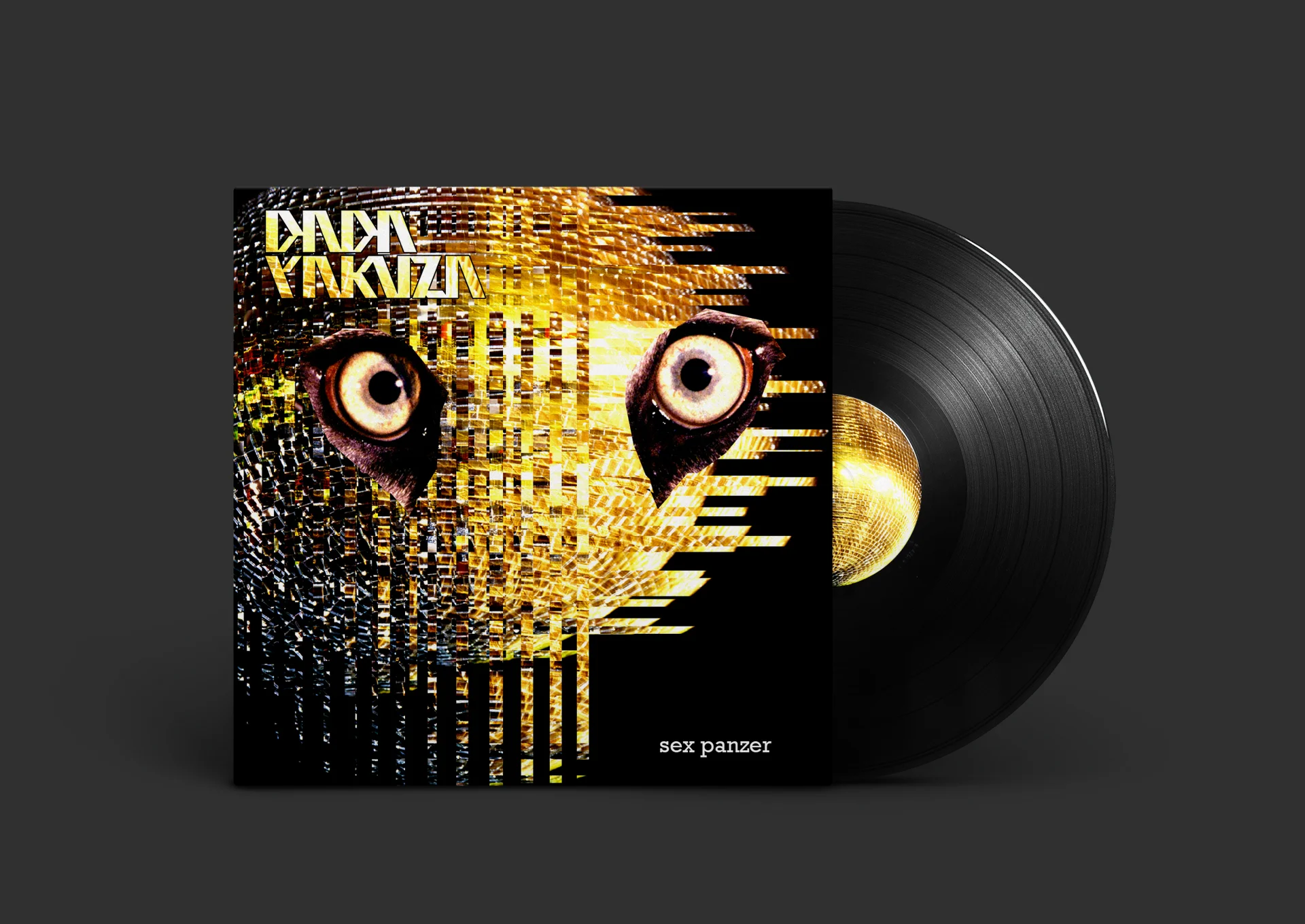 ddYcover2.jpg