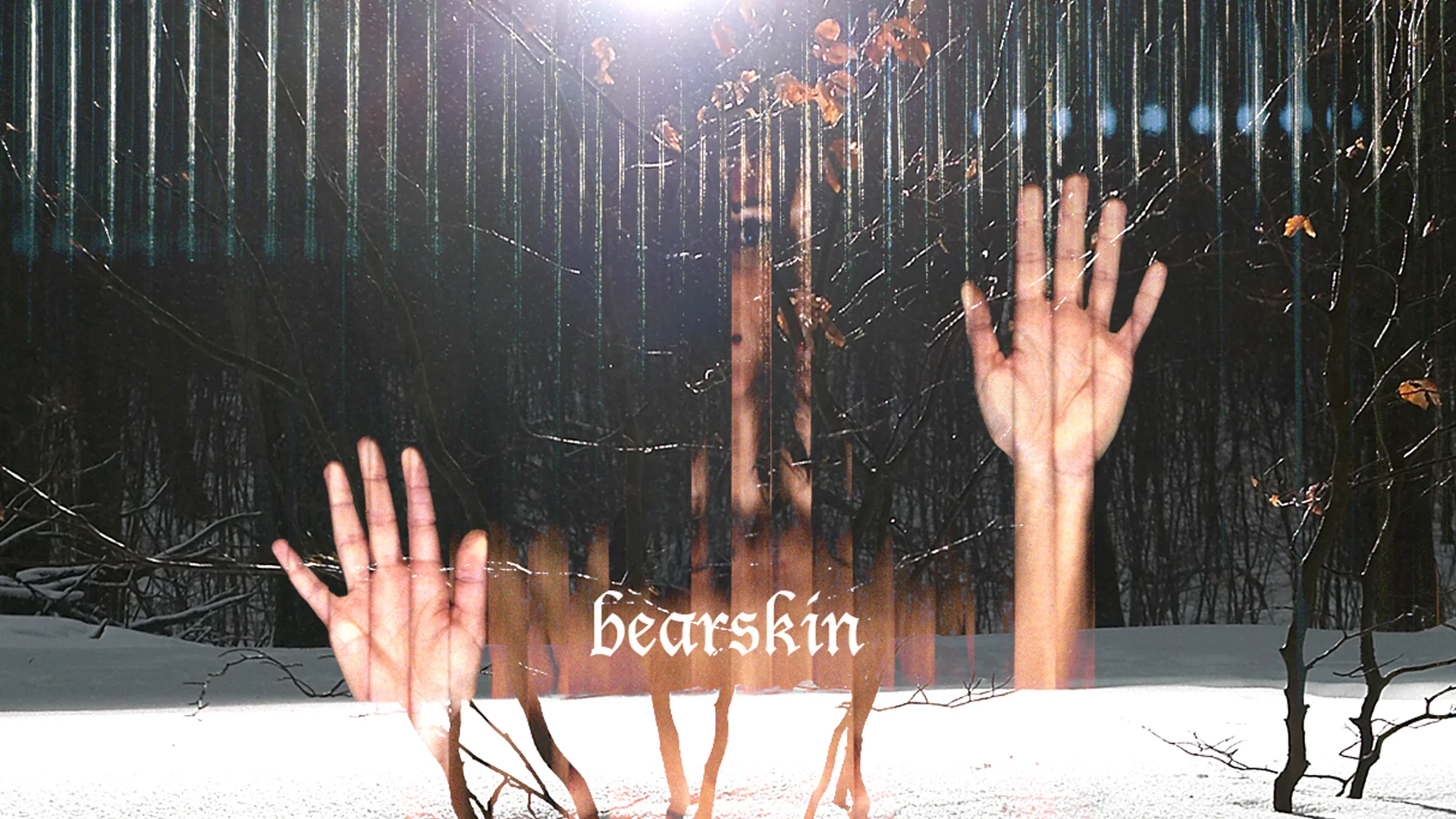 bearskin1.jpg