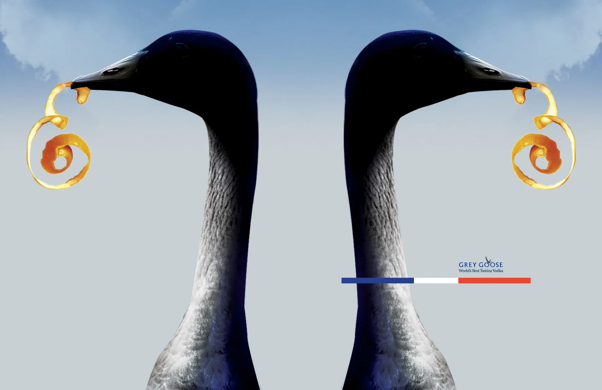 greygoose1.jpg