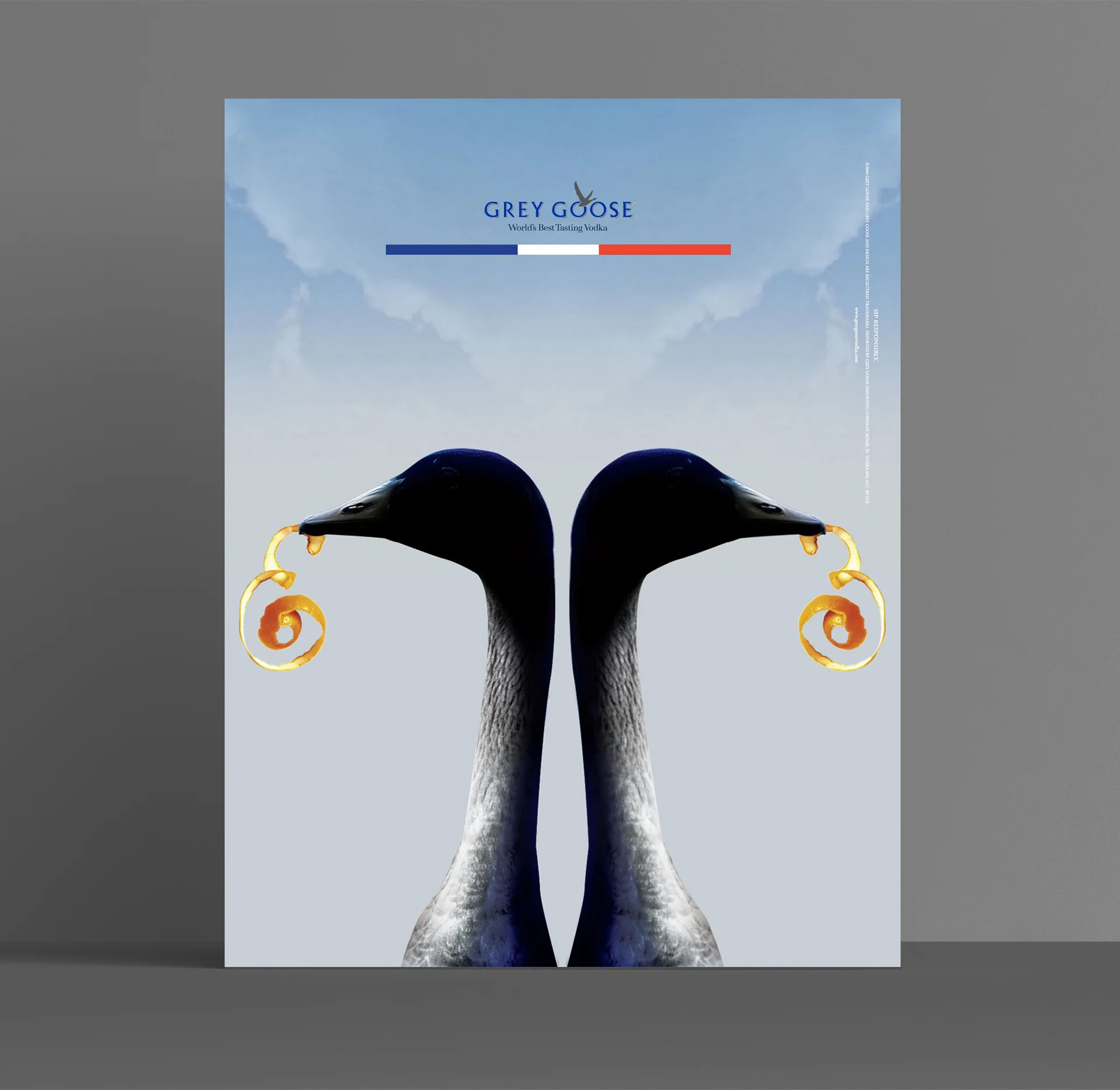 greygoose6.jpg