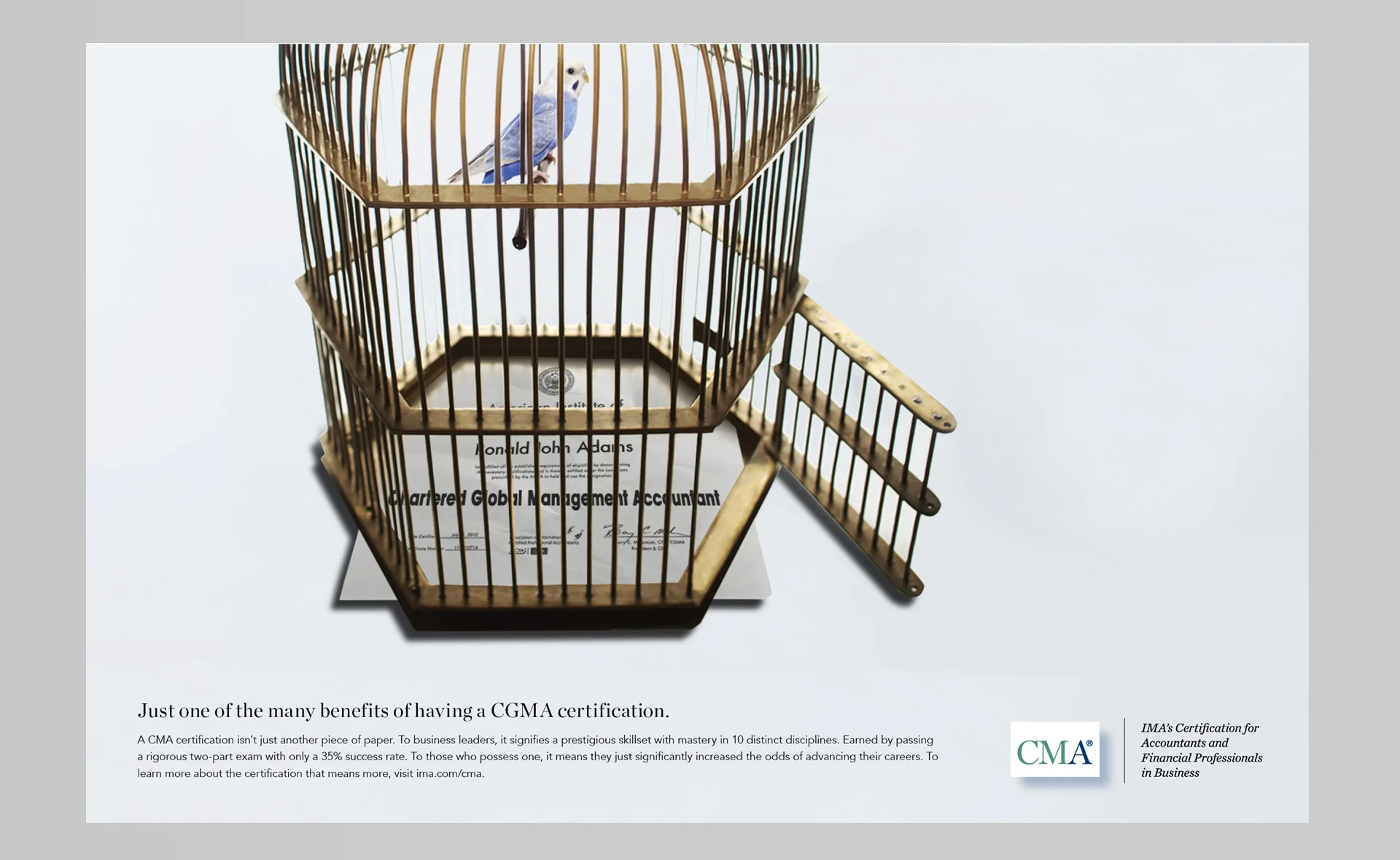 CMAprint2.2.jpg