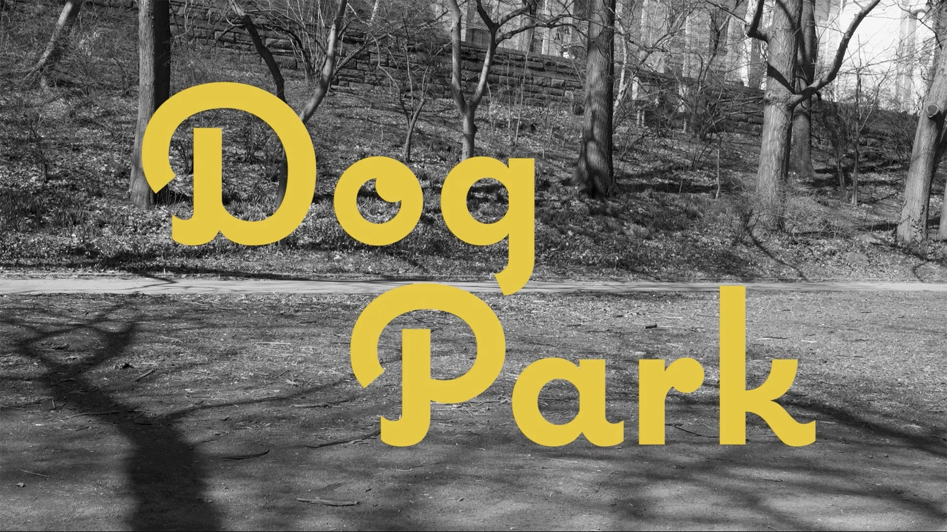 Dog Park