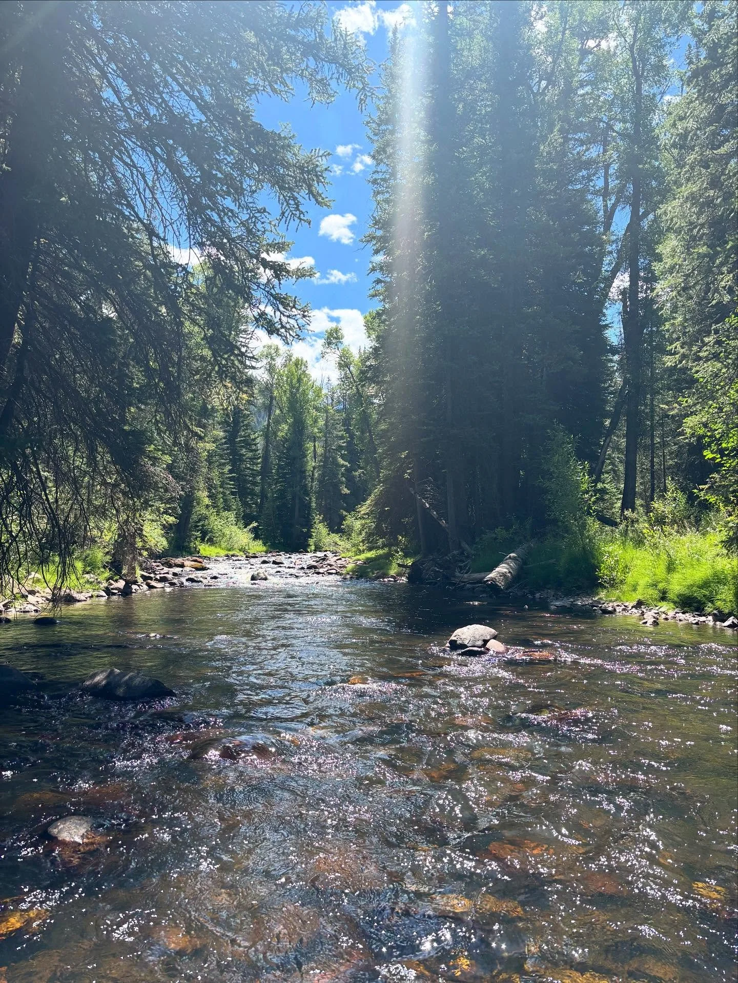 Today&rsquo;s meditation spot.
