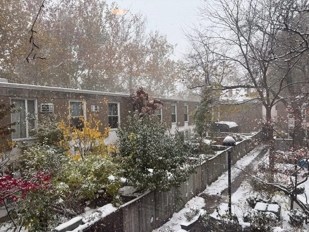 I have my fuzzy blanket, my cup of tea, the book I&rsquo;m writing, and the book I&rsquo;m reading. All I need is a fireplace! Some day&hellip;