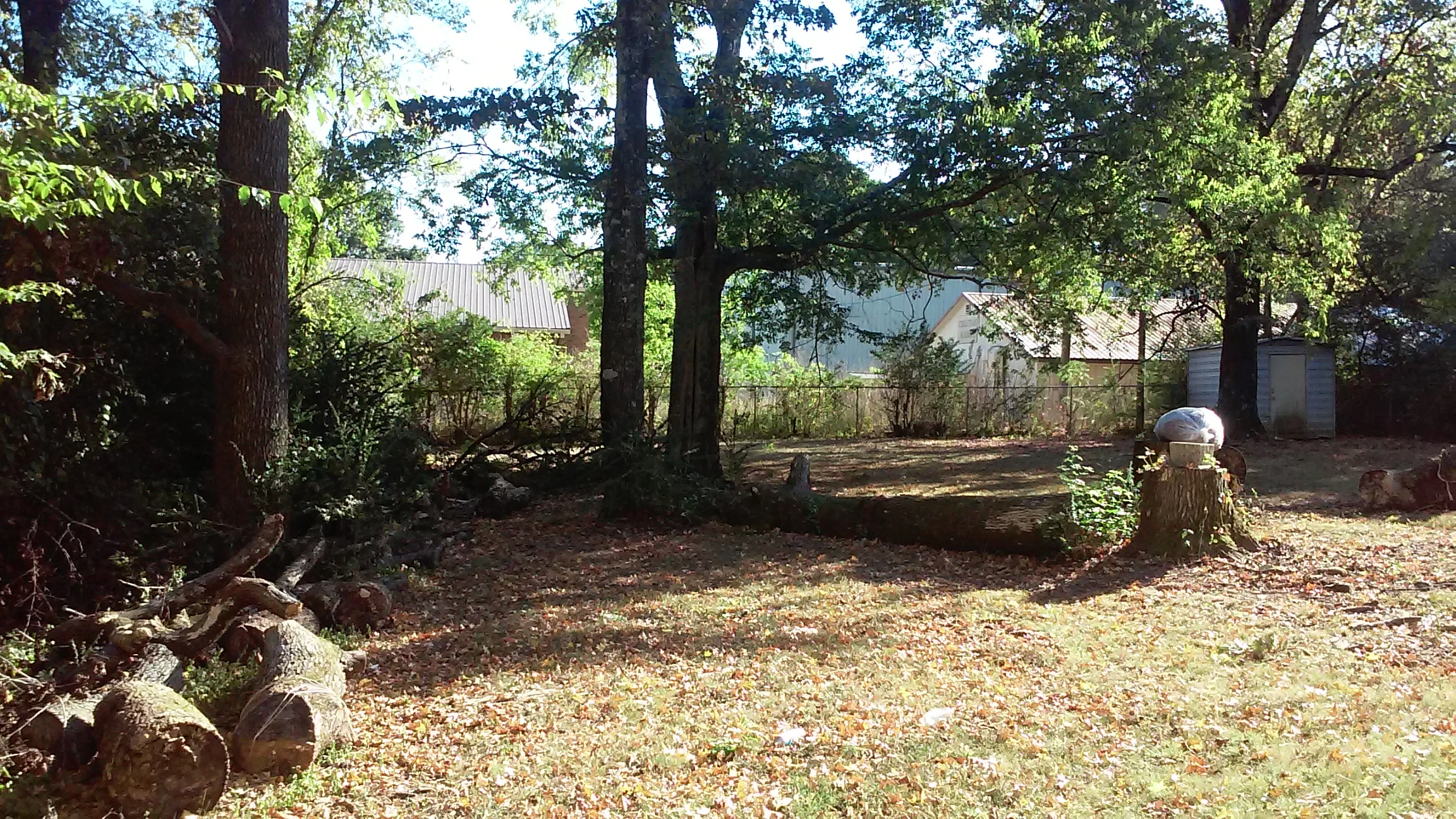 20161011_154310.jpg