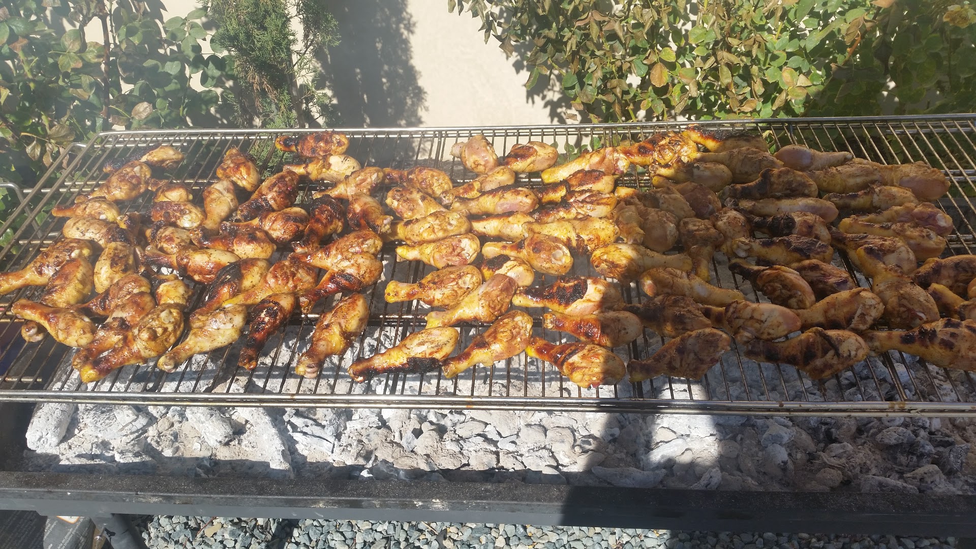 Catering Grilled Chicken