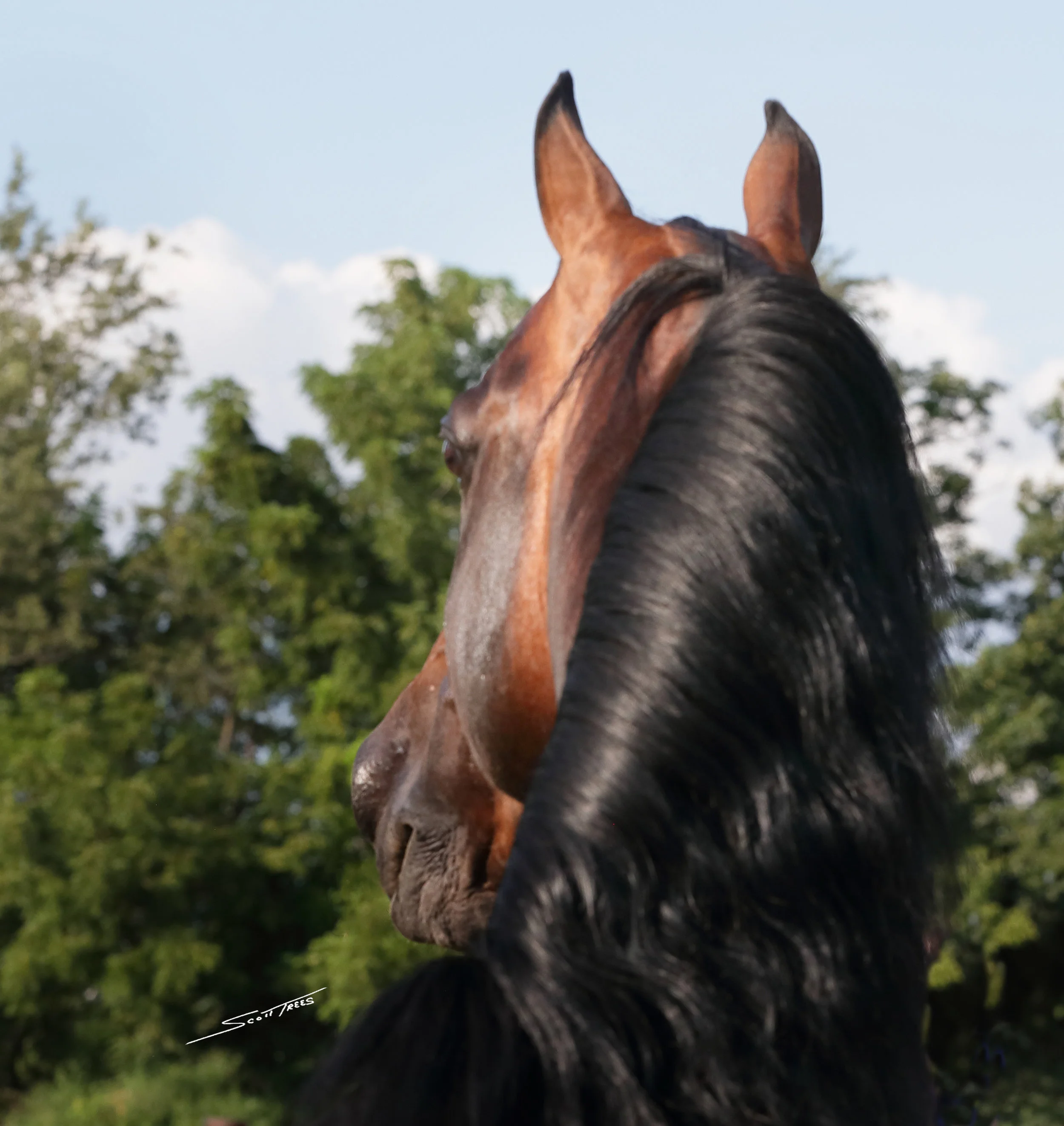 Bmoor-717-598astro .JPG