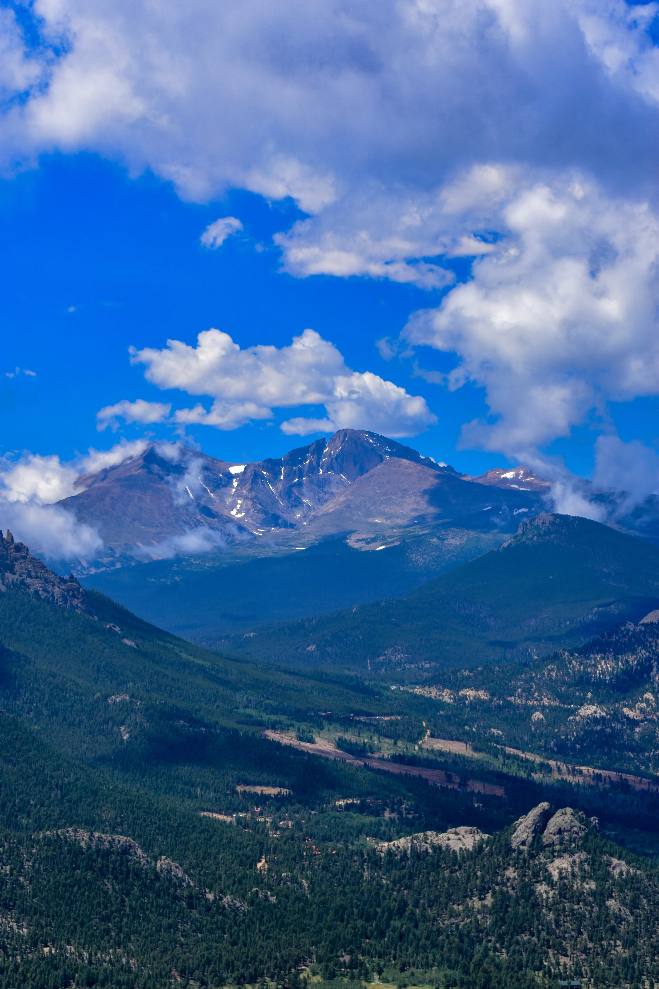 DSC_0151.jpg