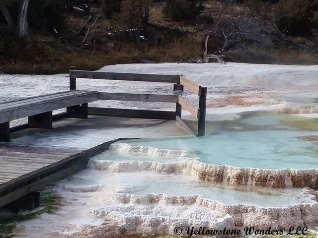 As the terraces continue to grow at Mammoth Hot Springs, they will eventually entomb anything in their path, including the boardwalks. The Park staff will eventually remove this section near Grassy Spring. 
Click the web site link in our bio for more