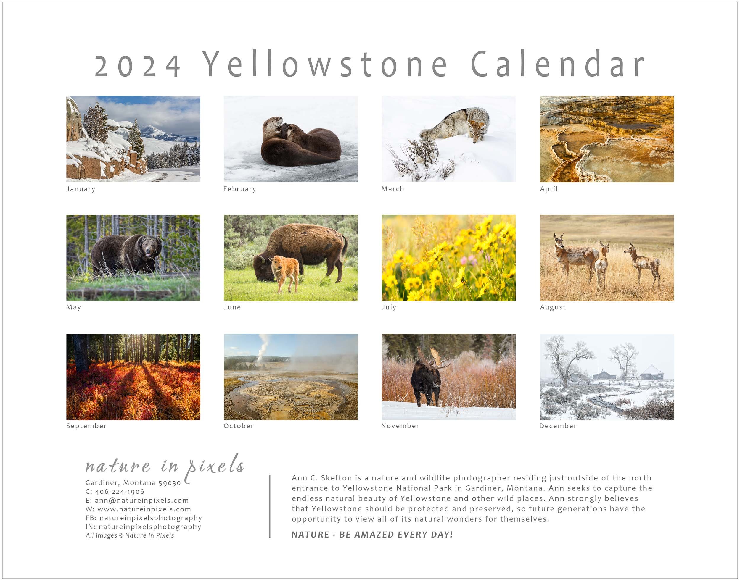 2024 Yellowstone Calendar Yellowstone Wonders LLC