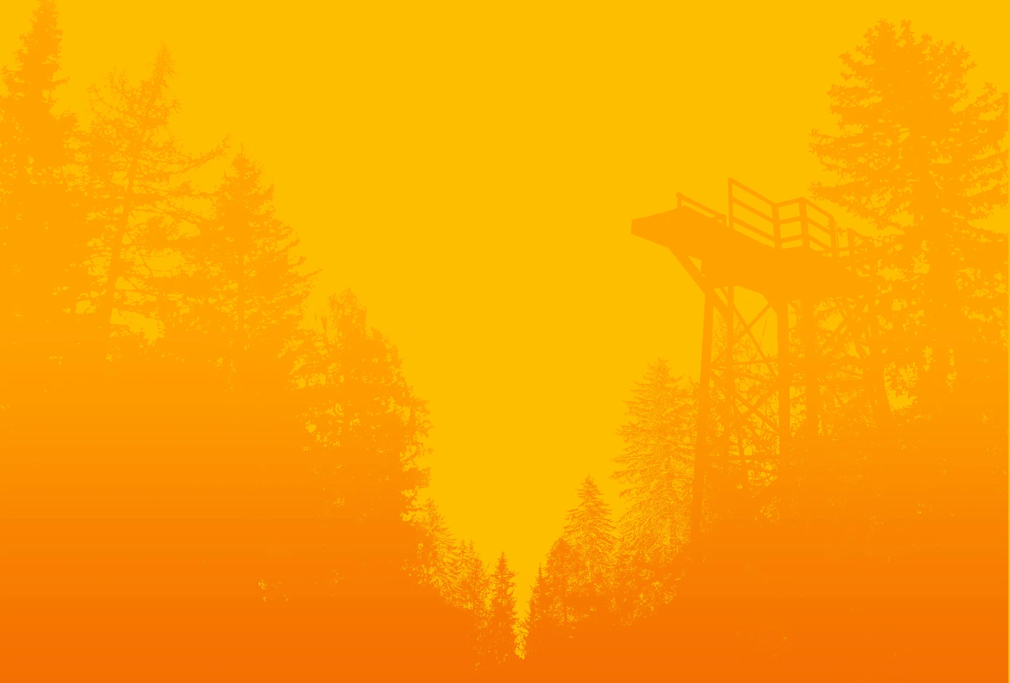 Trees_Silhouette.jpg