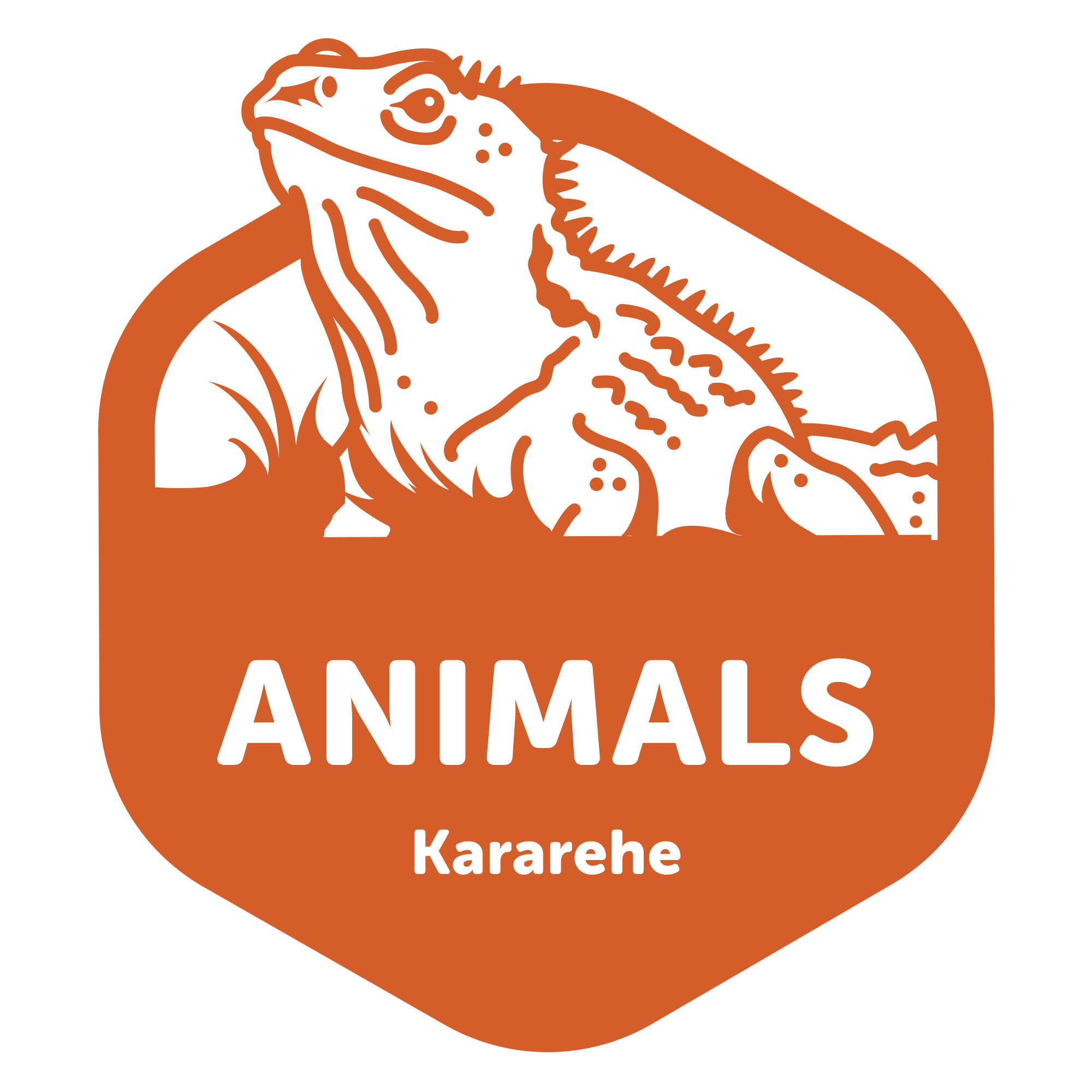 Nature Childcare Kumeu Early Childhood Centre Country Bears Elements of Life