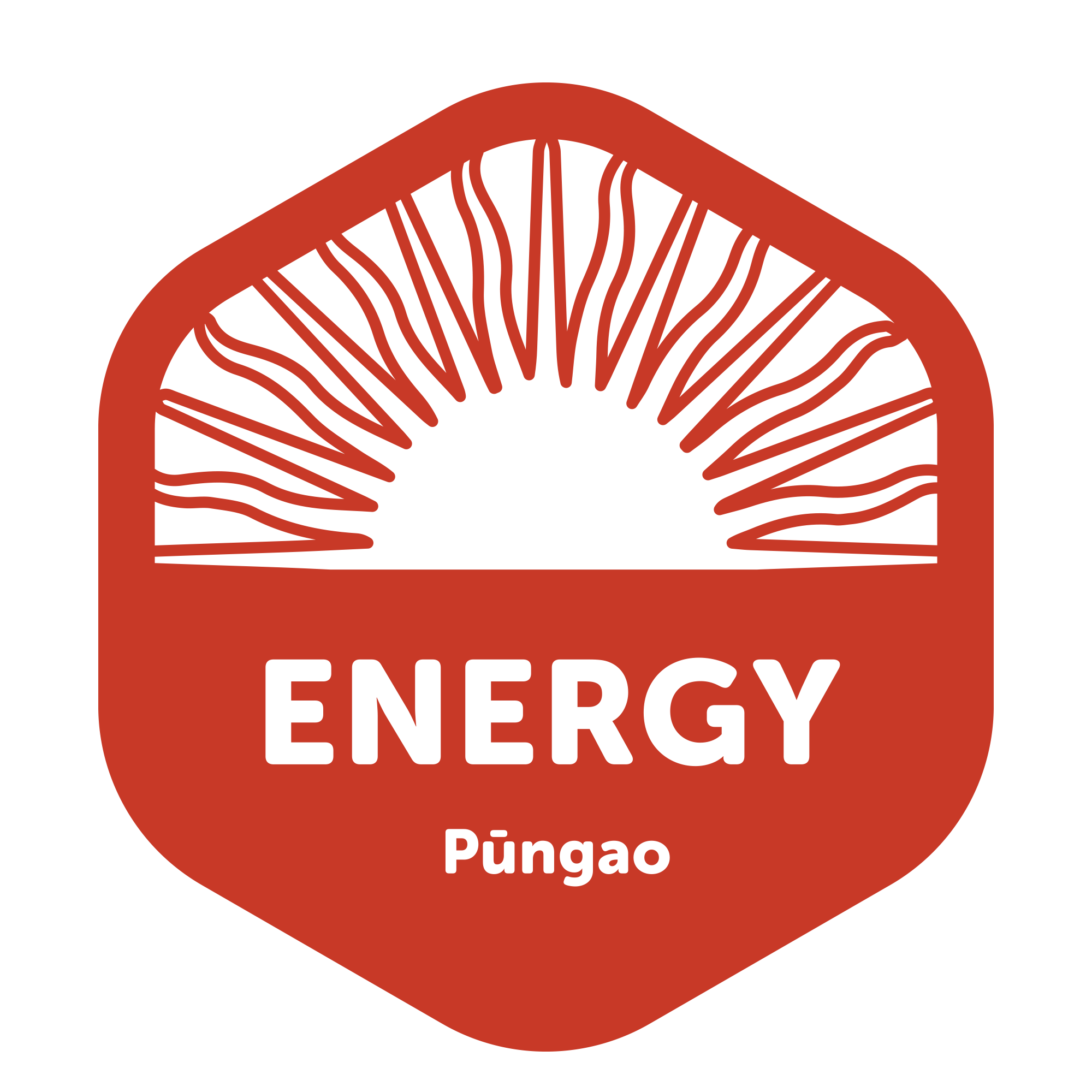 Nature Childcare Kumeu Early Childhood Centre Country Bears Elements of Life