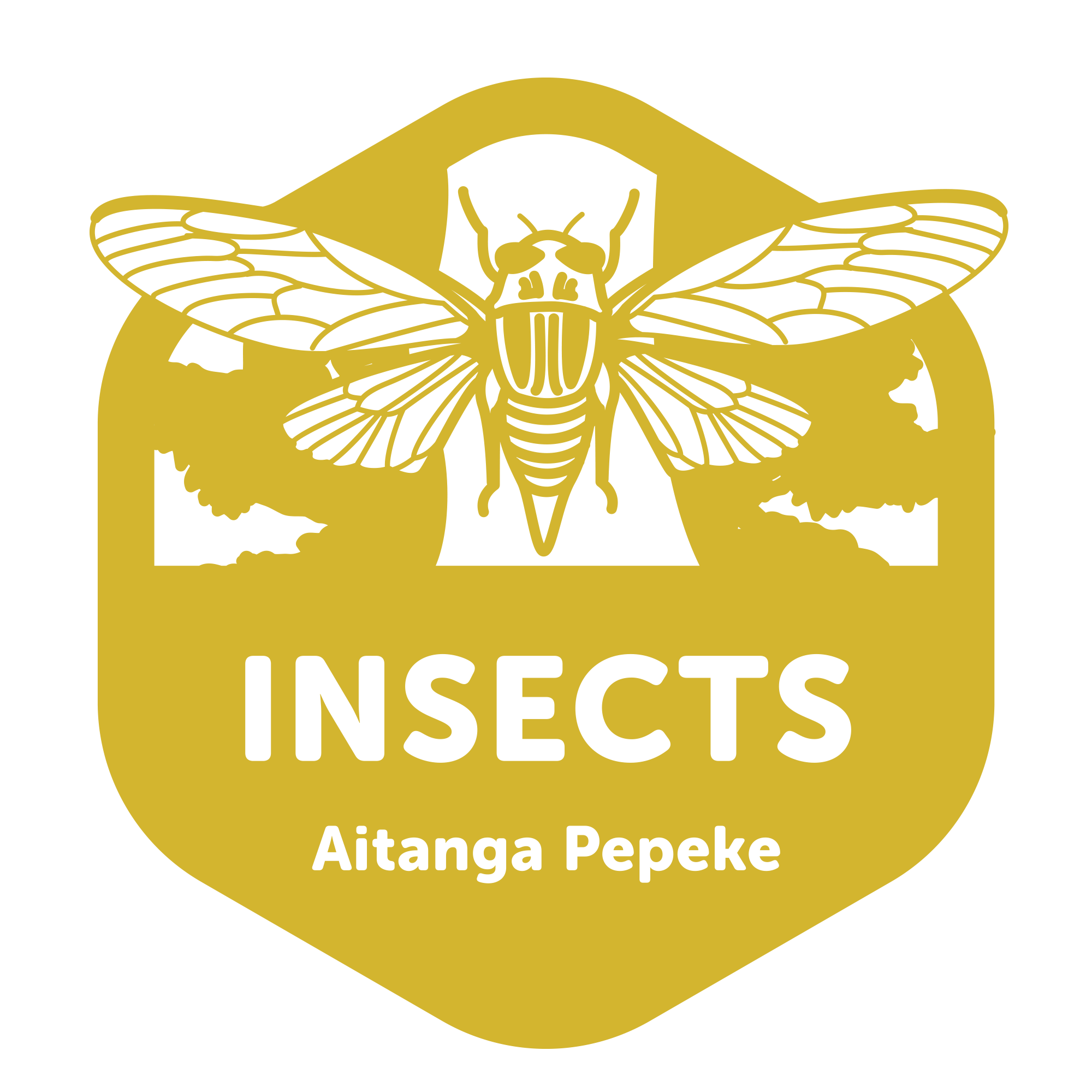 Nature Childcare Kumeu Early Childhood Centre Country Bears Elements of Life