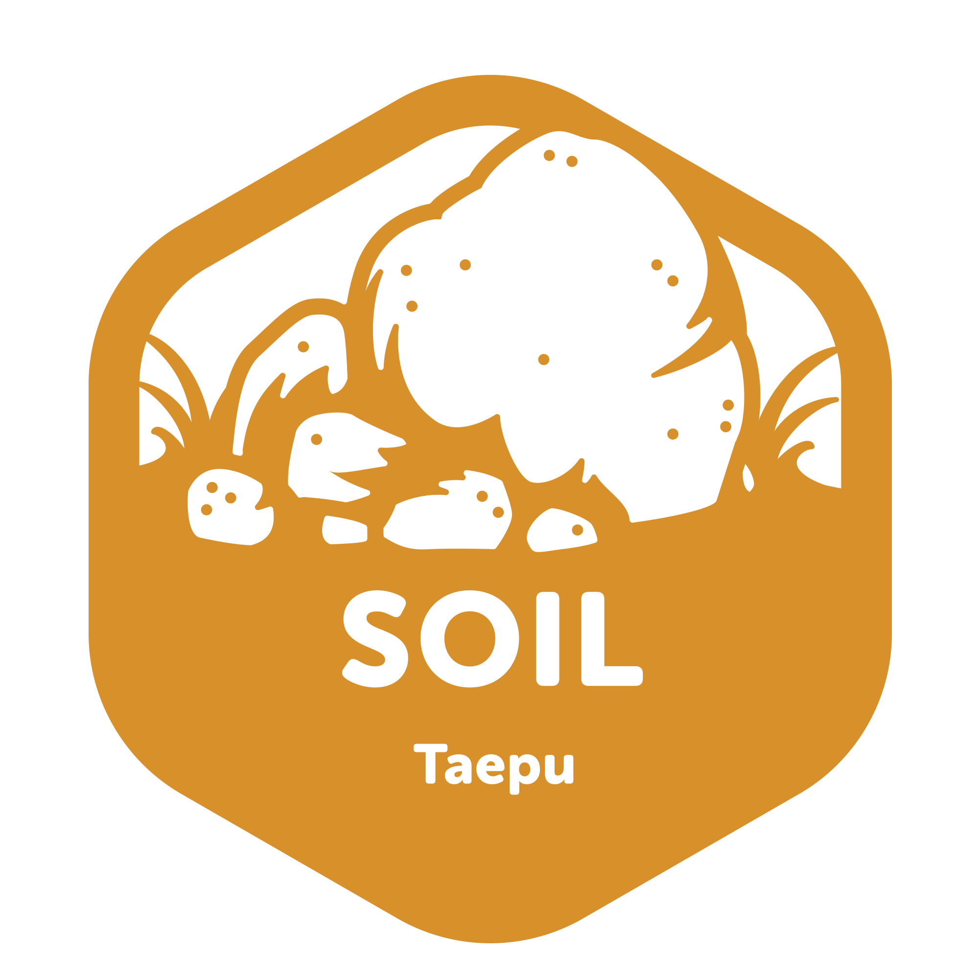 Nature Childcare Kumeu Early Childhood Centre Country Bears Elements of Life