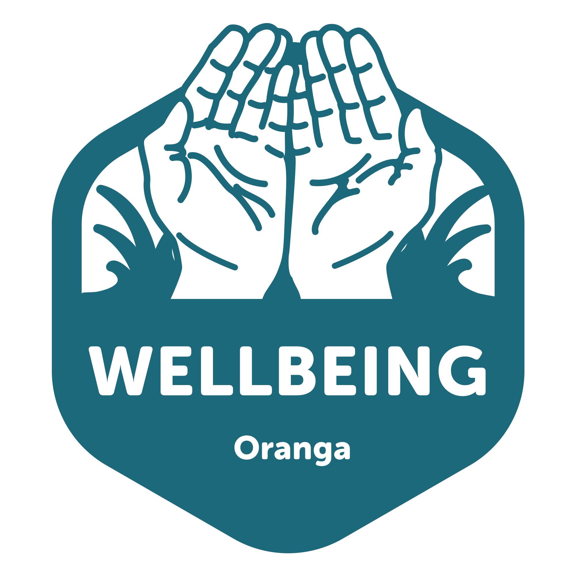 Nature Childcare Kumeu Early Childhood Centre Country Bears Elements of Life