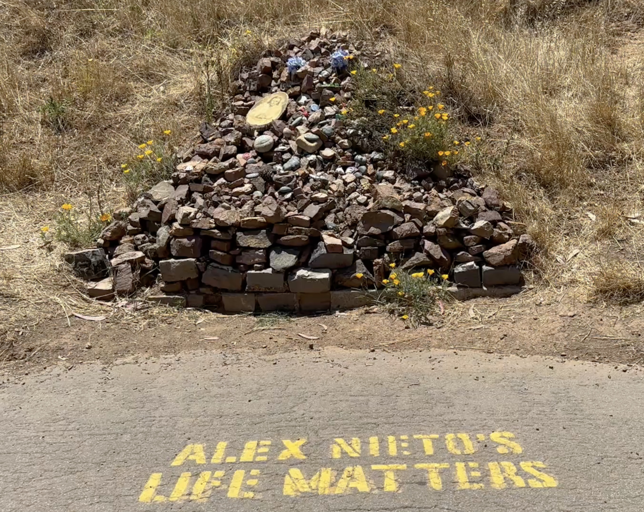 Alex Nieto's Life Matters Rock Memorial copy.png