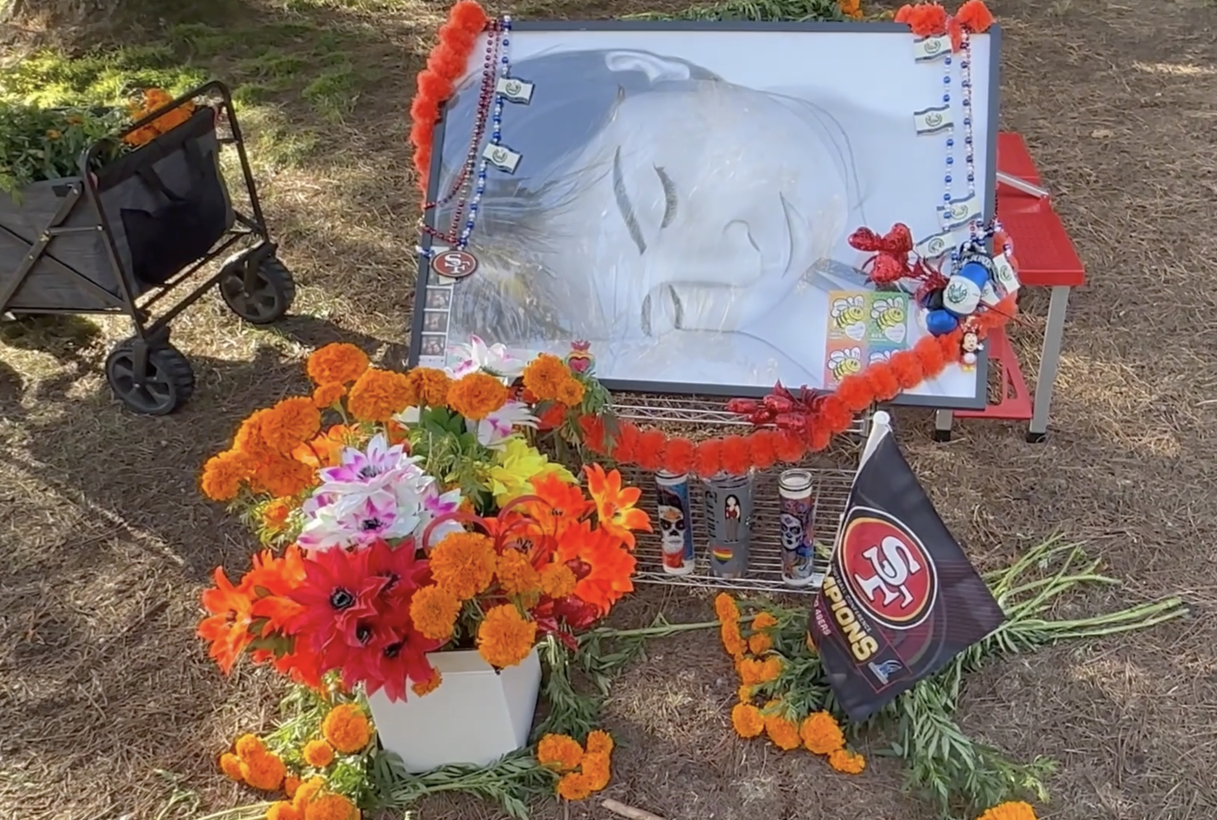 Marigold Project 2 copy.png