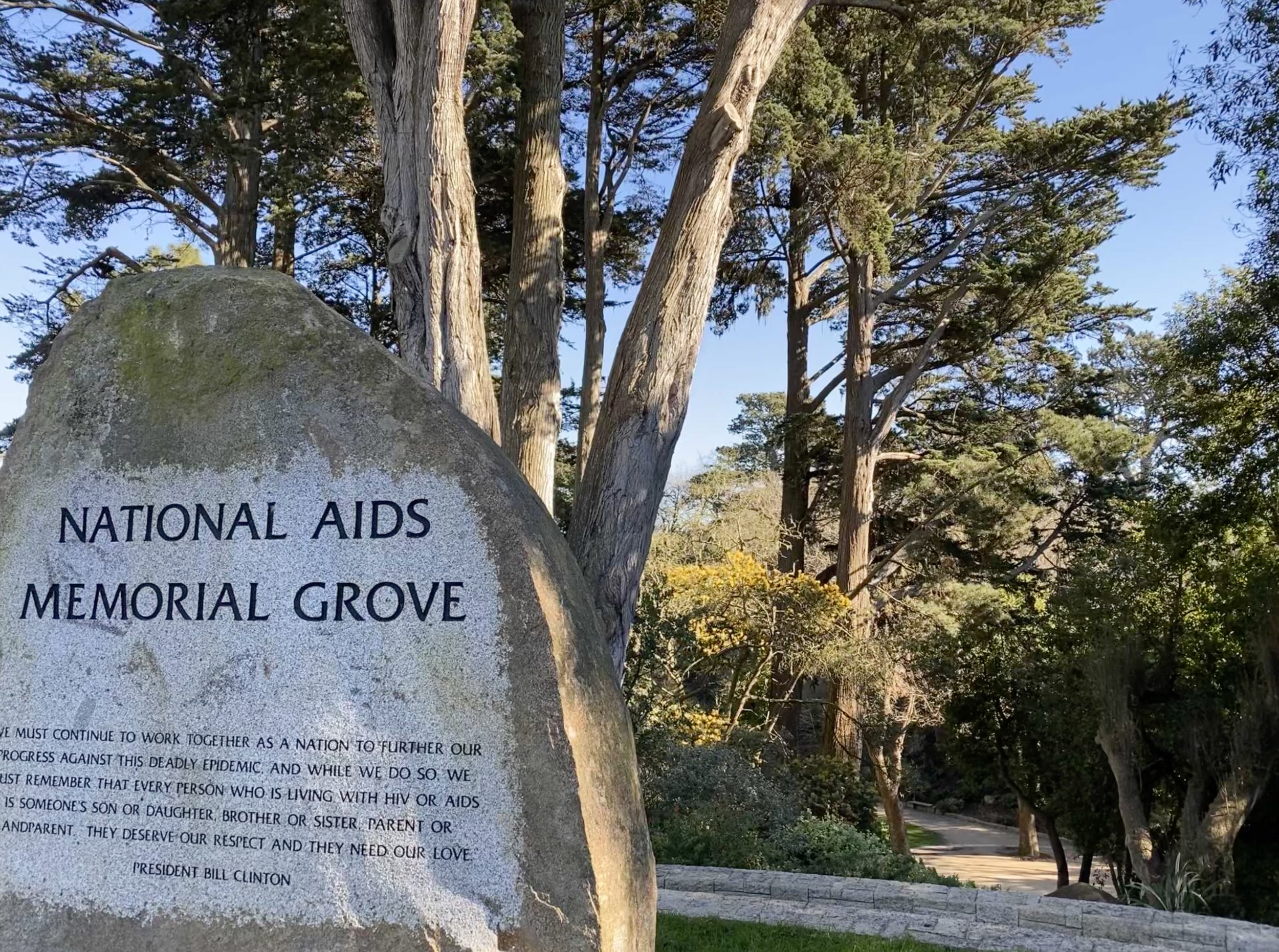Aids Grove Entrance.png